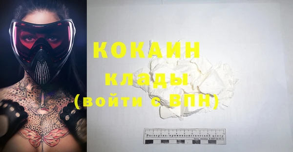 молекула духа Новозыбков