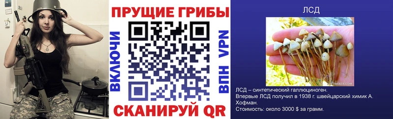 Галлюциногенные грибы MAGIC MUSHROOMS  Северо-Курильск 